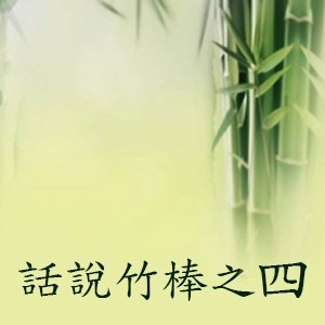 話說棒球棒材質-4