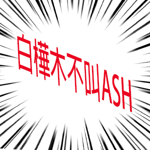 白樺木不叫ASH